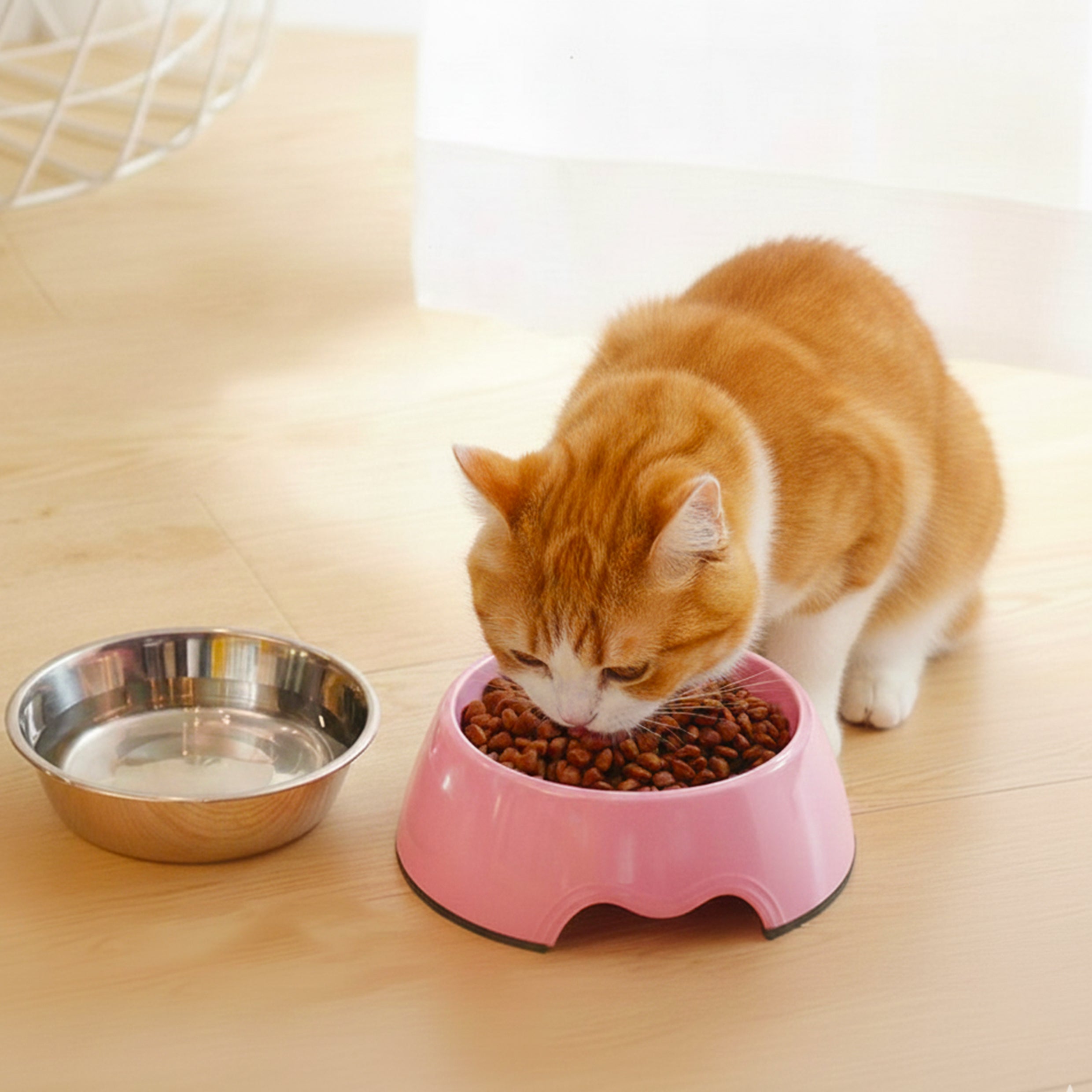 2-in-1 Slow Feeder Pet Bowls Multi-Purpose Cat Dog Feeding Bowls Water
