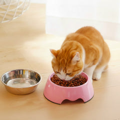 2-in-1 Slow Feeder Pet Bowls Multi-Purpose Cat Dog Feeding Bowls Water