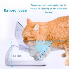 Double Elevated Cat Bowls with Neck Guard Stand 15 Degree Tilt Rounded Design Small Dogs Cats Raised Pet Food Water Feeder Bowl
