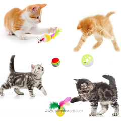 21 Piece Cat Toy Assortment Set