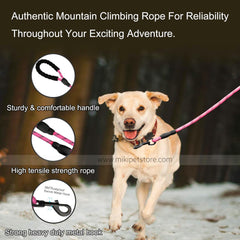 Reflective Nylon Rope Dog Leash – 5 Feet with Padded Handle for Comfort & Control