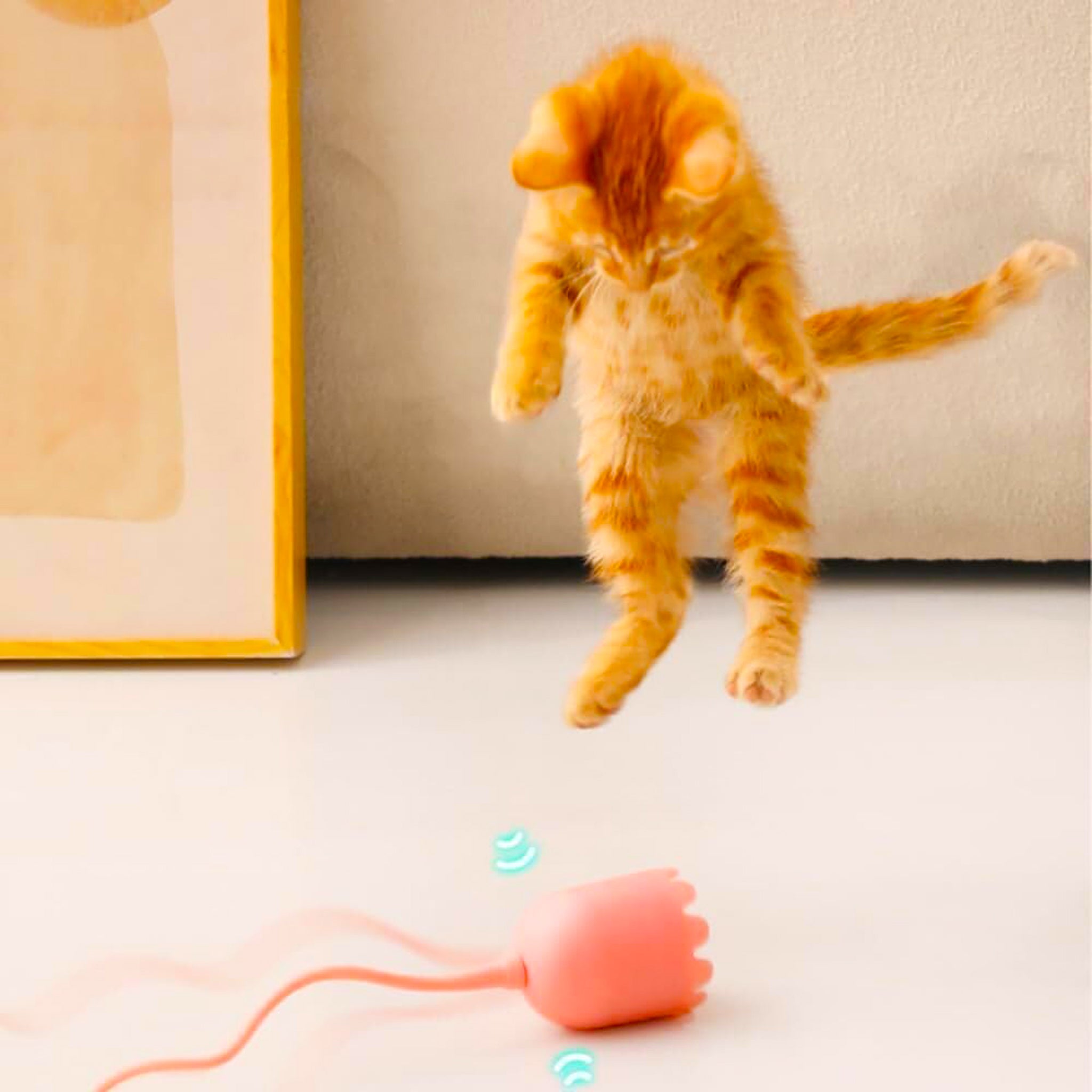 Electric Cat Teaser & Auto Rolling Ball Toy
