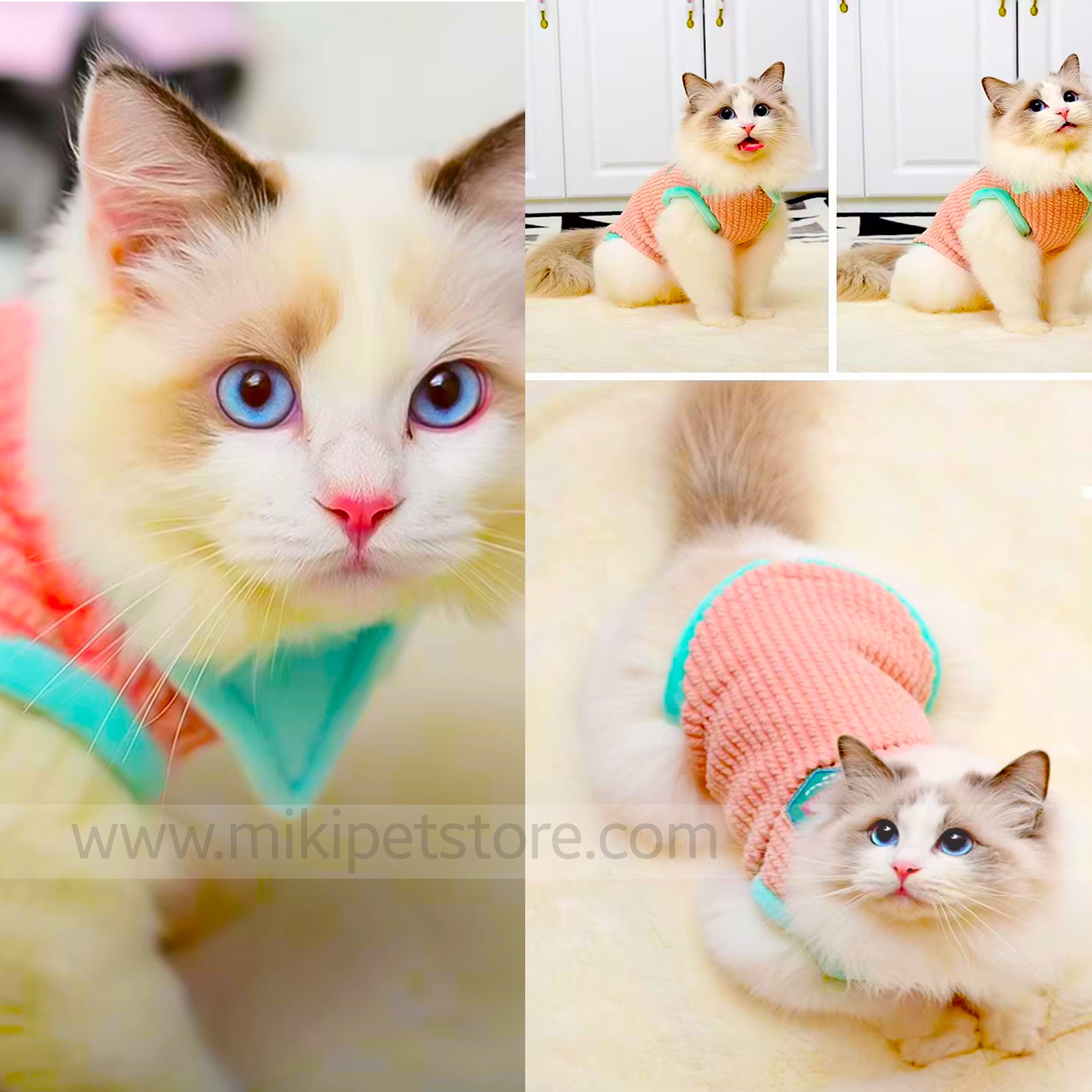 Autumn/winter pet sweater designed for cats and puppies, shown on a relaxed indoor cat.