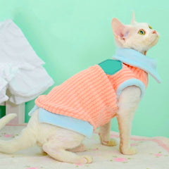 Cute winter outfits for kittens and small dogs