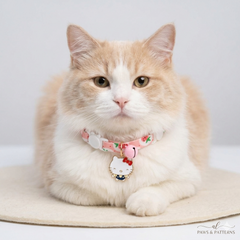 Cartoon Character Pet Collar