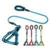 Reflective Double Adjustable Nylon Small and medium Dog Combo Collar Leash and Harness Set