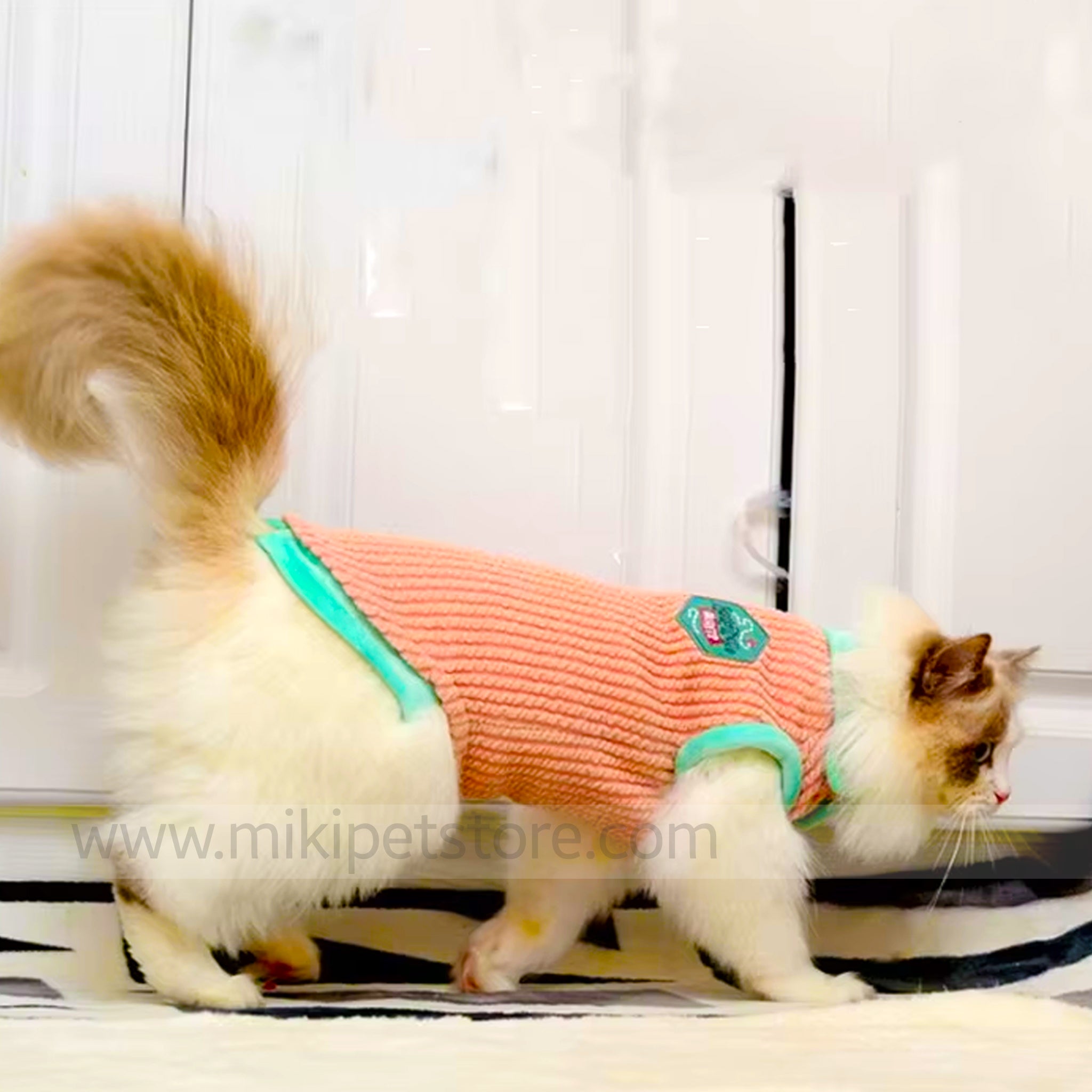 Sleeveless pet sweater for cats and small breeds