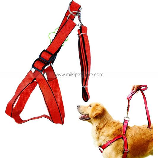 High-Quality Nylon Dog Harness & Leash Set – Durable Lead for Large Dogs