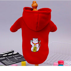 Champion Pet Hoodie- for puppy & Cats
