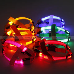LED Flashing Dog Body Vest
