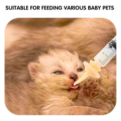 Using pet nursing feeder to feed a newborn kitten