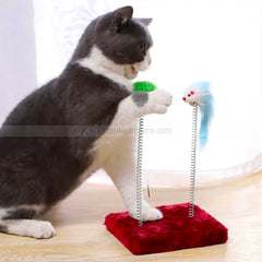 Interactive Cat Spring Toy