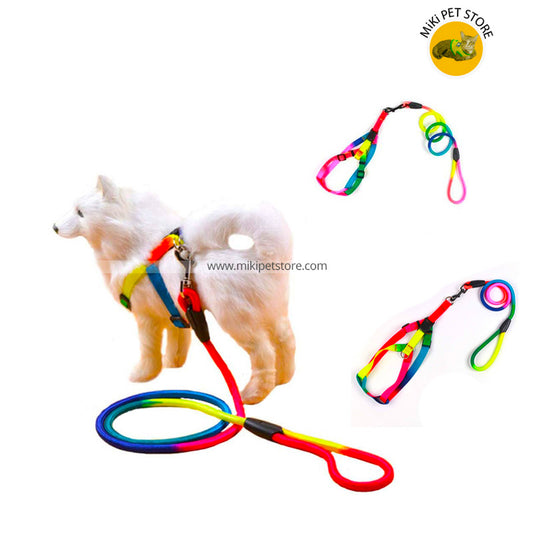 Small and medium Dog Collar Colorful Rainbow Harness Leash Walking Harness Lead Colorful Rope Nylon