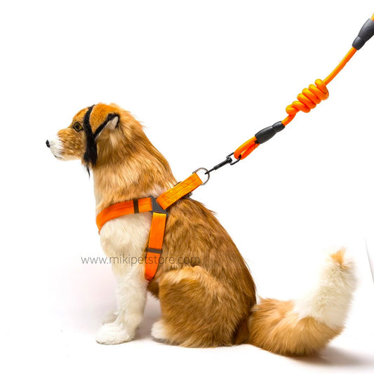 Pet Leash Adjustable Nylon Cat dog Leash Dog Leash Collar Harness