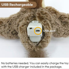 Dancing Bird Cat Toys Interactive for Indoor Cats & Pet