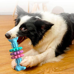 Dog Chew Bone Clean Teeth Gum Bone Dog Toy