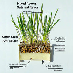 Spring Mix Cat Grass Treats by Greedy Horse