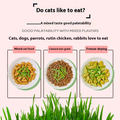 Spring Mix Cat Grass Treats by Greedy Horse