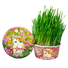 Spring Mix Cat Grass Treats by Greedy Horse