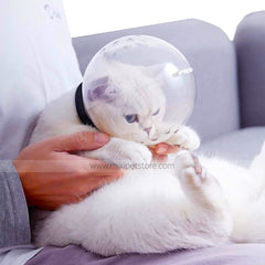 Transparent Cat Muzzle Adjustable Hood for Biting and Chewing Prevention