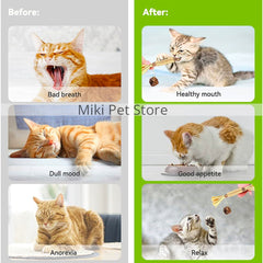 Cat Chew Sticks, Natural Matatabi Chew Sticks Cat Toy for Cat Teeth Cleaning Catnip Sticks for Indoor Cats Kitten