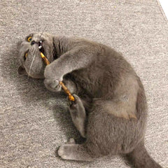 ChicWow Silvervine Sticks – Natural Catnip Alternative Chew Toys for Teeth Cleaning-(20pc set)