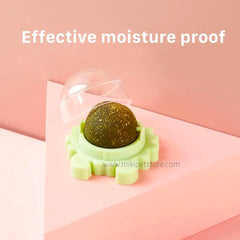 Cat Catnip Lick Spinning Ball Toy Snacks Nutrition Treats- for Kitten Cats