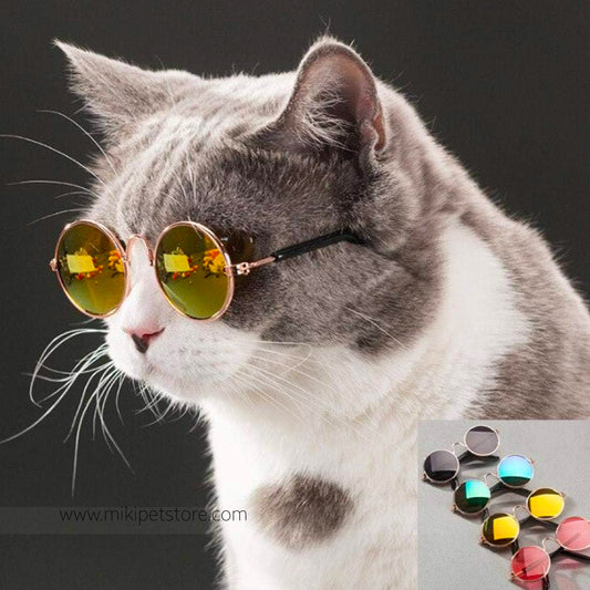 Cool multi-colors Dazzle Metal Fashion Pet Dog & Cat Sunglasses