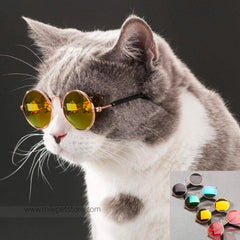 Cool multi-colors Dazzle Metal Fashion Pet Dog & Cat Sunglasses