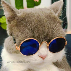 Cool multi-colors Dazzle Metal Fashion Pet Dog & Cat Sunglasses