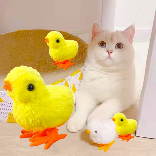 Jumping Chicken Cat Toy