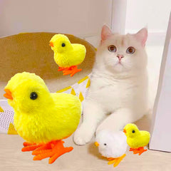 Jumping Chicken Cat Toy