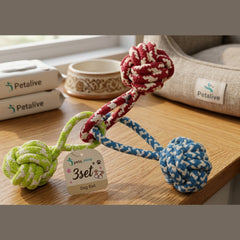 Colorful Cotton Rope Ball Chew Toy Set for Dogs (3pcs)