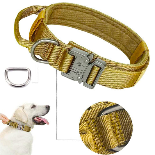Heavy Duty Nylon Dog Collar with Handle – Adjustable Two-Layer Design with Metal Buckle & D-Ring for Medium & Large Dogs