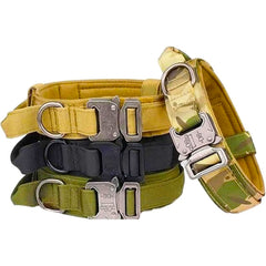 Heavy Duty Nylon Dog Collar with Handle – Adjustable Two-Layer Design with Metal Buckle & D-Ring for Medium & Large Dogs