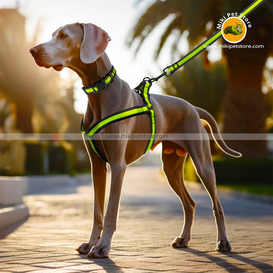 Reflective Double Adjustable Nylon Small and medium Dog Combo Collar Leash and Harness Set