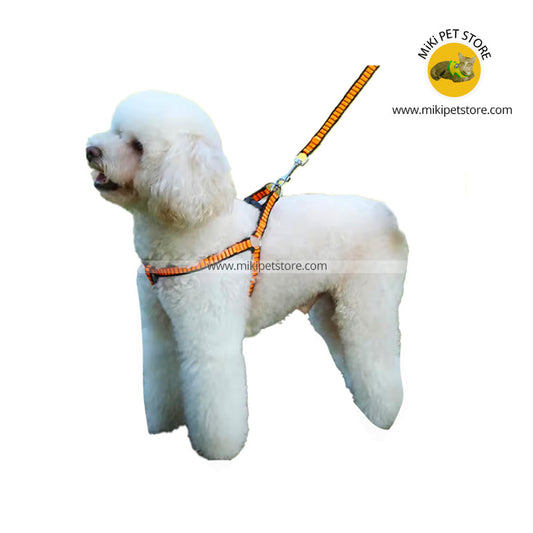 Small and medium Dog Harness Leash Walking Harness