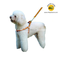 Small and medium Dog Harness Leash Walking Harness