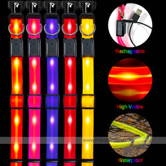 GlowPaw LED Dog Collar – Waterproof, Rechargeable & Adjustable Light-Up Collar for Medium & Large Dogs