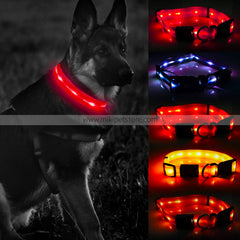 GlowPaw LED Dog Collar – Waterproof, Rechargeable & Adjustable Light-Up Collar for Medium & Large Dogs