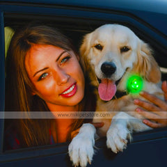 LED Waterproof Silicone Dog Collar – Light-Up Safety Collar for Night Walking (Batteries Included)