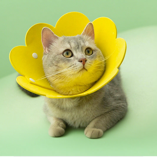 Sunflower Pet Recovery Collar For Cat & Dog