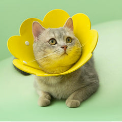 Sunflower Pet Recovery Collar For Cat & Dog