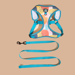 Escape Proof Cat Harness and Leash Set Adjustable Air Mesh Vest