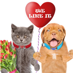 Heart Bling Velvet Cat Collar – Adjustable Kitten Collar with Safety Bell & Rhinestone Breakaway Buckle for Cats and Small Dogs