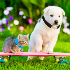 Heart Bling Velvet Cat Collar – Adjustable Kitten Collar with Safety Bell & Rhinestone Breakaway Buckle for Cats and Small Dogs