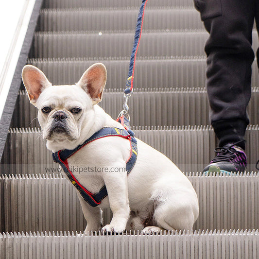 Heavy Duty Dog Harness & Leash Set – Denim Design for Small, Medium & Large Dogs