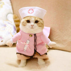 Cat Doctor Nurse Costume Pet Doctor Clothing