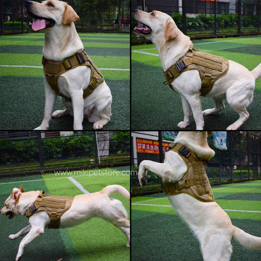 Heavy Duty Tactical Dog Vest Harness – Military-Grade No-Pull Padded Vest for Hiking & Training