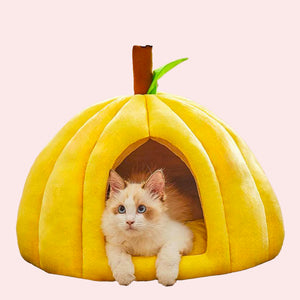 Pumpkin Nest 4 Seasons Ultra-Comfort Pet Bed